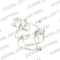 Toyota 1HD-FTE Injector line kit.