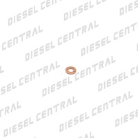 Delphi Nozzle Washer 9001-850A