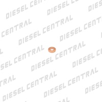 Delphi Nozzle Washer 9001-850C.