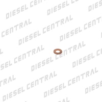 Delphi Nozzle Washer 9001-850E