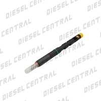 New Delphi R05001D / 320/06623 Common Rail Injector To Suit JCB 444.